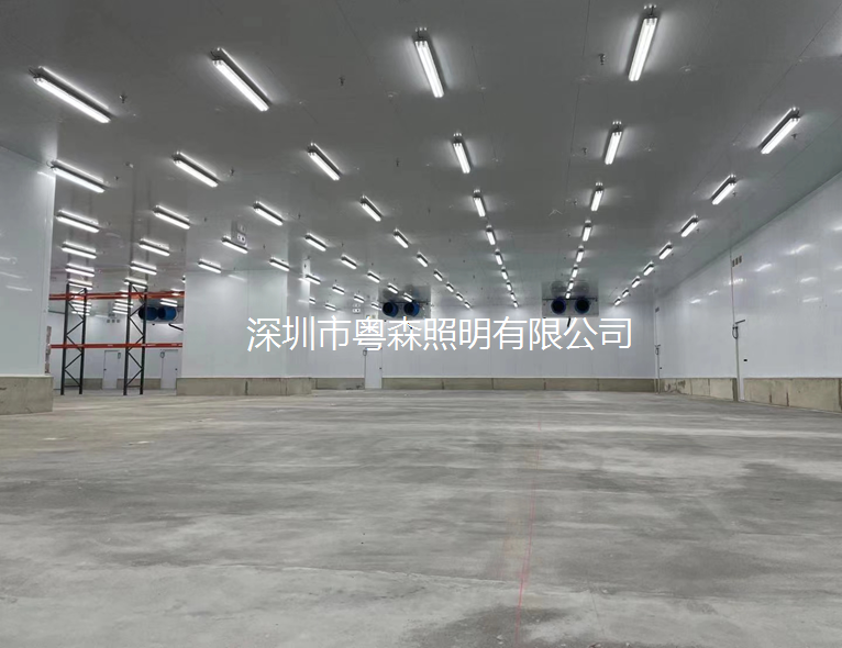 香港元朗萬噸冷庫